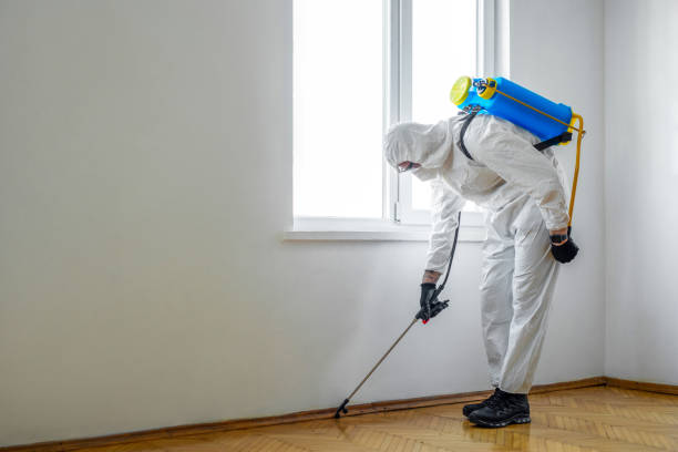 Best Local Pest Control Services  in Gang Mills, NY